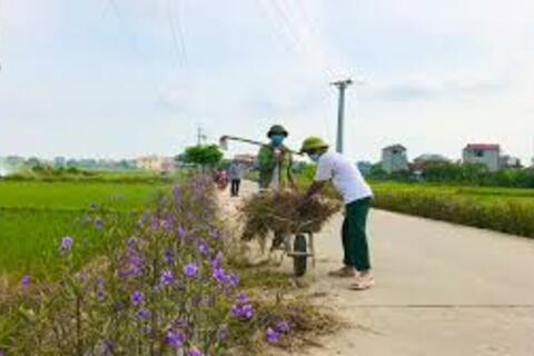 Ban Chấp hành Hội Nông dân phường Hoài Tân tổ chức ra mắt Mô hình "Vận động 100% hộ gia đình thu gom rác thải tập trung tại Tổ 4, khu phố Giao Hội 2”