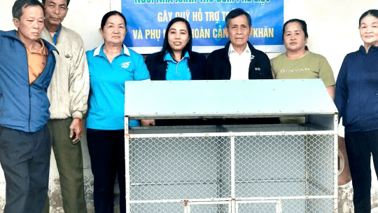 <a href="/tin-tuc/dan-van-doan-the" title="Dân vận - Đoàn thể" rel="dofollow">Tin từ các huyện, thị xã, thành phố</a>